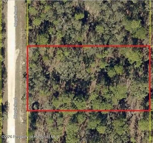 1 Acre of Land for Sale in Brooksville, FL - Brooksville, Florida, 34614
