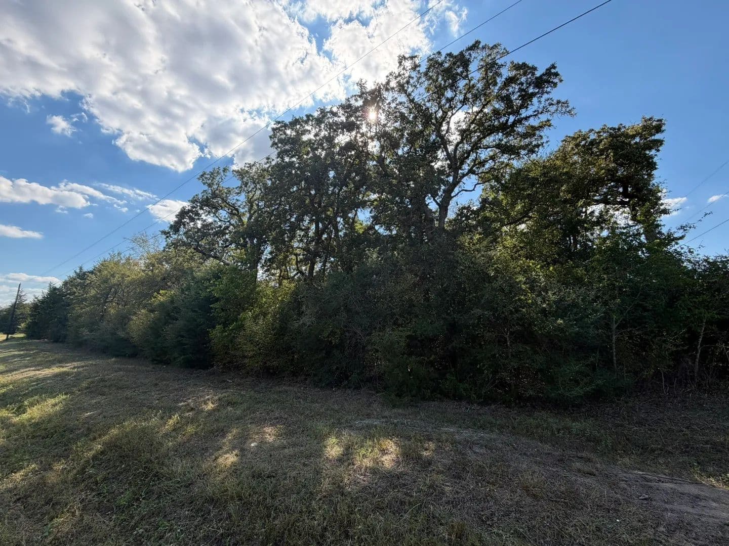 9.99 Acres of Land for Sale in Iola, TX - Iola, Texas, 77861