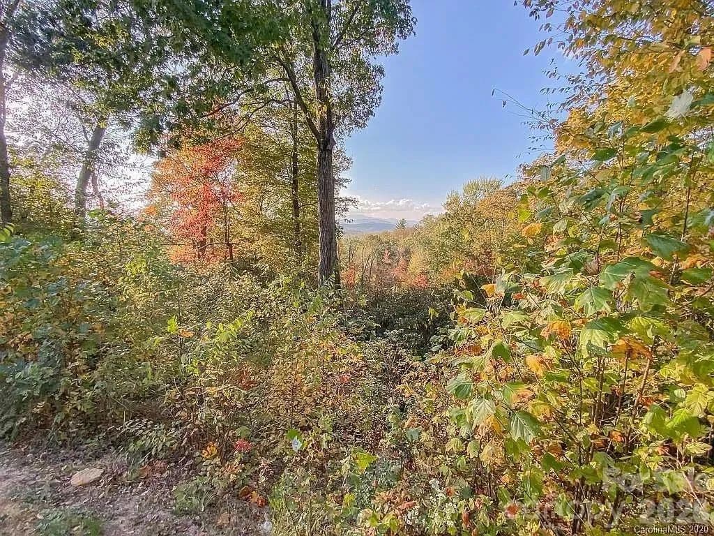 0.99 Acres of Land for Sale in Hendersonville, NC - Hendersonville, North Carolina, 28739