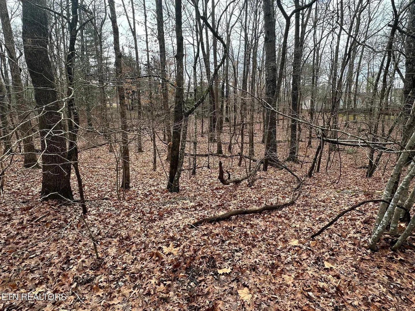 Lots & Land-Other in Fairfield Glade - Fairfield Glade, Tennessee, 38558