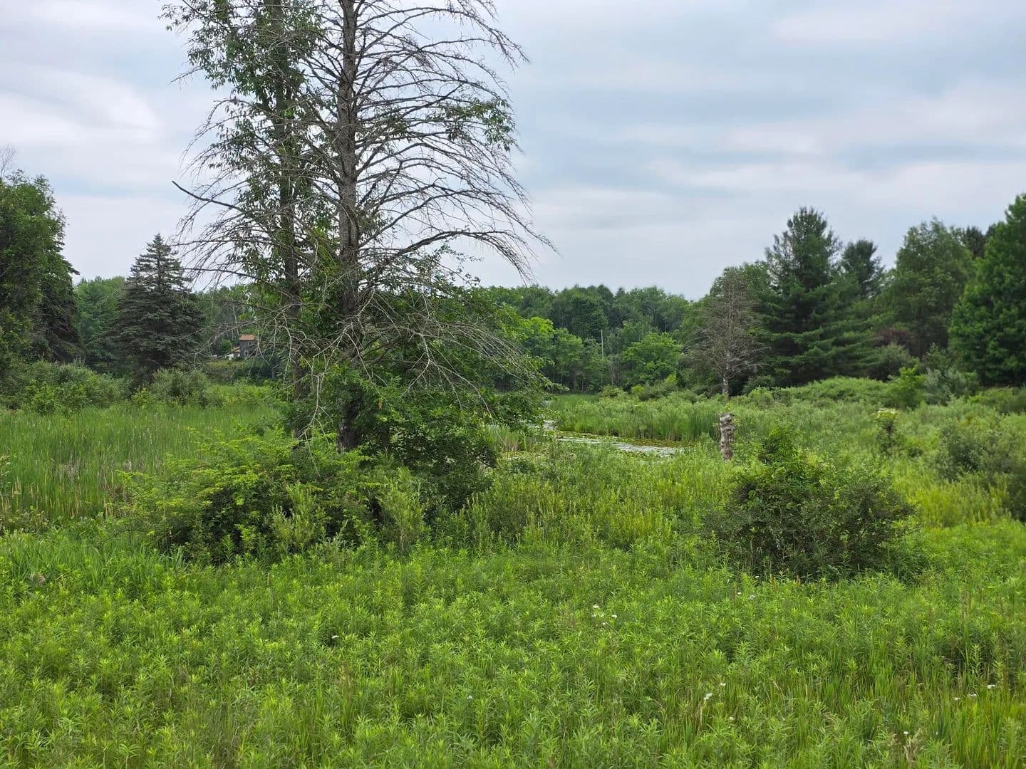 Property from 6172 Lake Road - KW - Barryton, Michigan, 49305