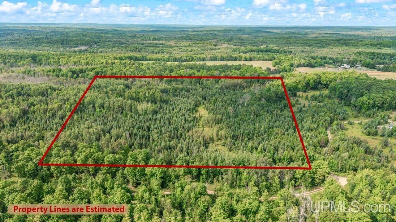 Vacant Land in Foster City - Foster City, Michigan, 49834