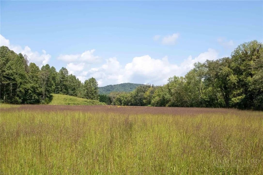 61.6 Acres of Land for Sale in Lenoir, NC - Lenoir, North Carolina, 28645