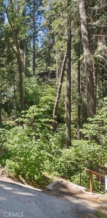 Vacant Land in Lake Arrowhead - Lake Arrowhead, California, 92352