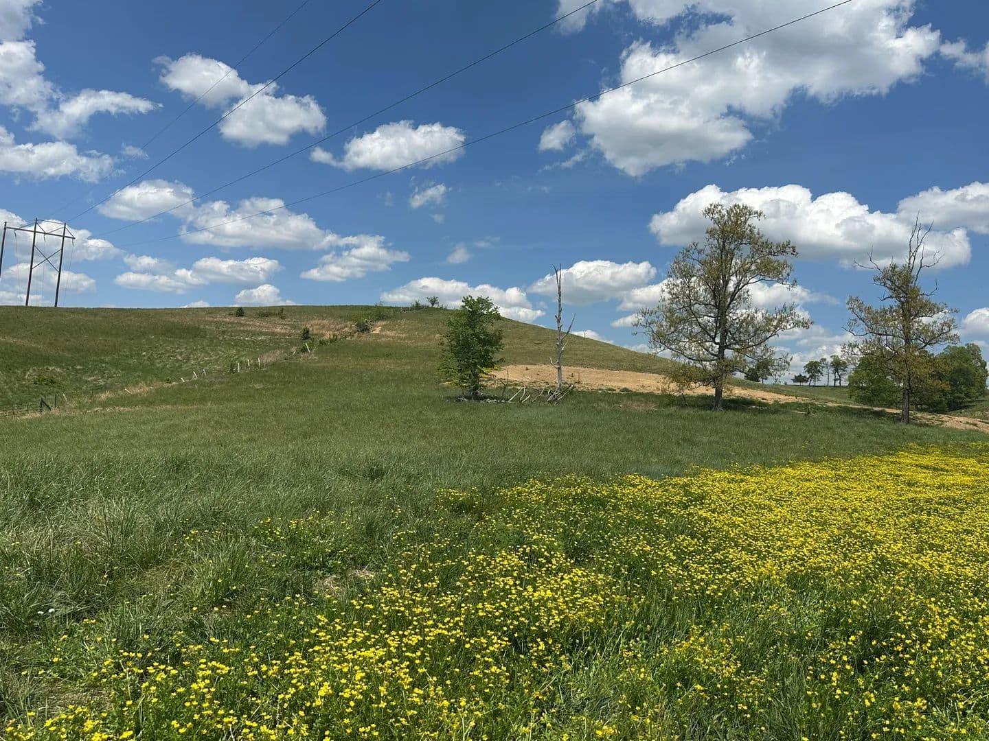 Land -Single Family Acreage in London - London, Kentucky, 40741