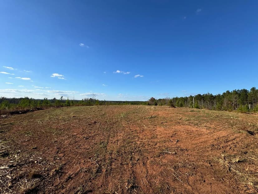 13.35 Acres, Germany's Ferry Road, Daviston, Tallapoosa County