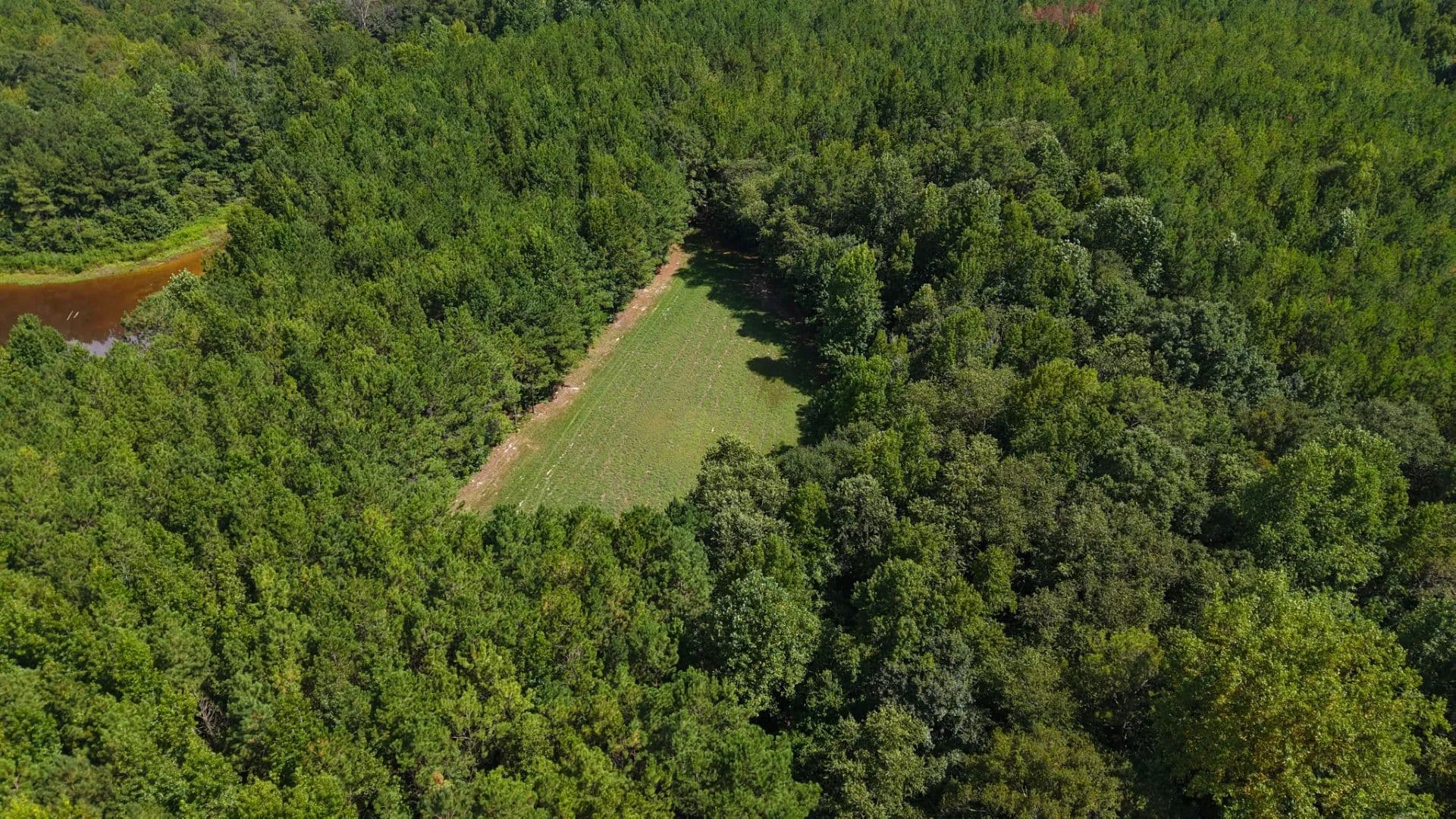 91.2 Acres in Crenshaw County, AL  - Grady, Alabama, 36036