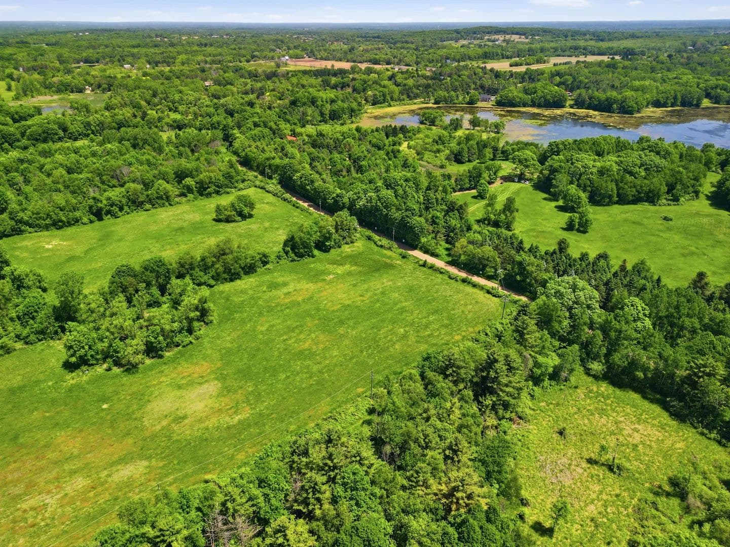 Hagerman Road – Addison Township 60 Acres - Leonard, Michigan, 48367