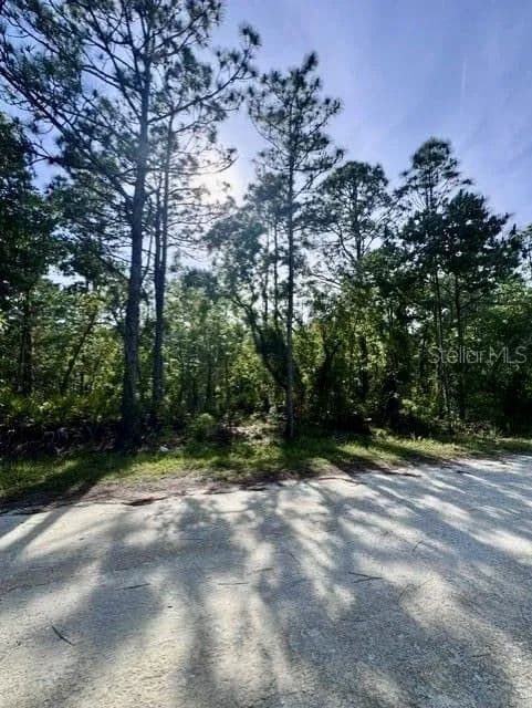 1 Acre of Land for Sale in Weeki Wachee, Florida - Weeki Wachee, Florida, 34614