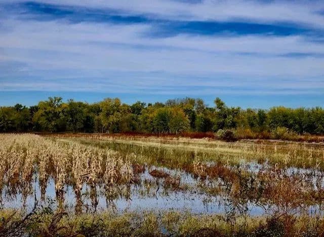 Woodford County IL Duck Club - Metamora, Illinois, 61548