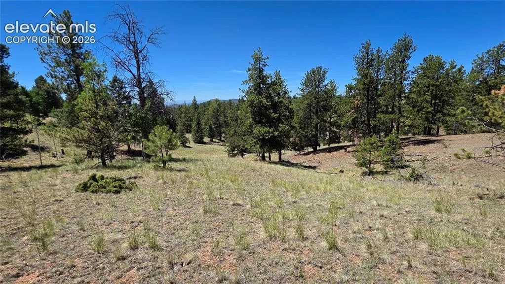 Property from 1366 N Mountain Estates Road - KW - Florissant, Colorado, 80816
