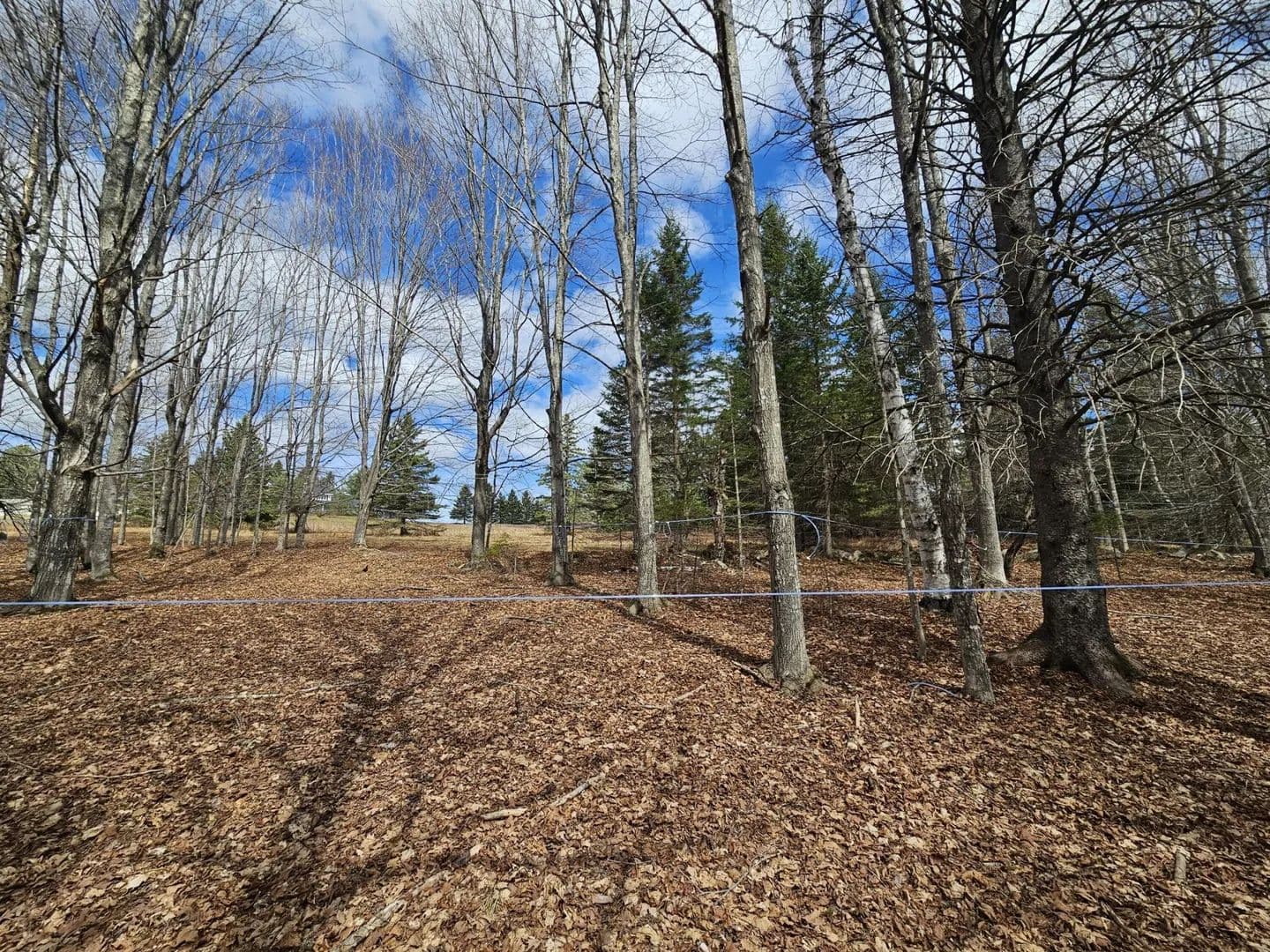 Land -Single Family Acreage in Rangeley - land for sale