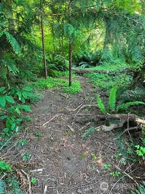 Vacant Land in Bellingham - Bellingham, Washington, 98229