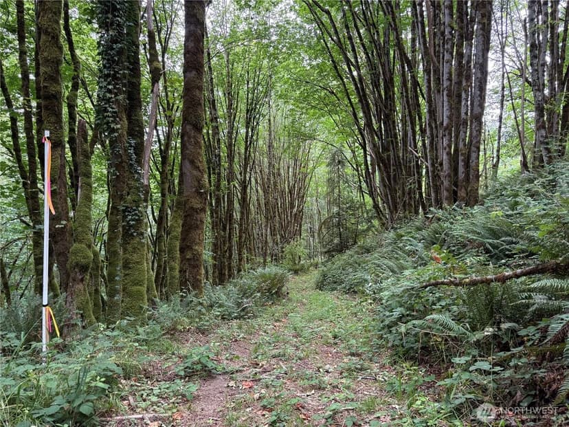 Vacant Land in Kelso