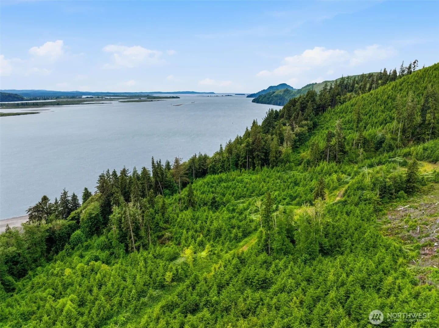 Vacant Land in Skamokawa - Skamokawa, Washington, 98674