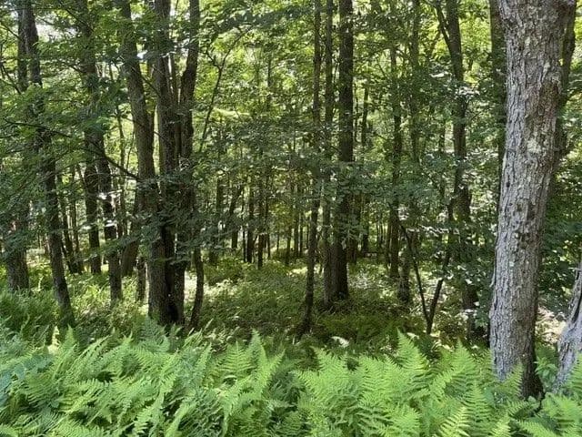 Land -Single Family Acreage in Stamford - Stamford, New York, 12167