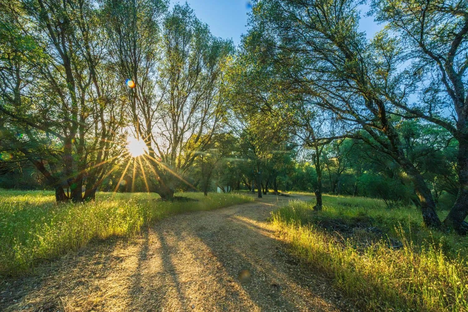 8.6 Acres of Land for Sale in Grass Valley, California - Grass Valley, California, 95949