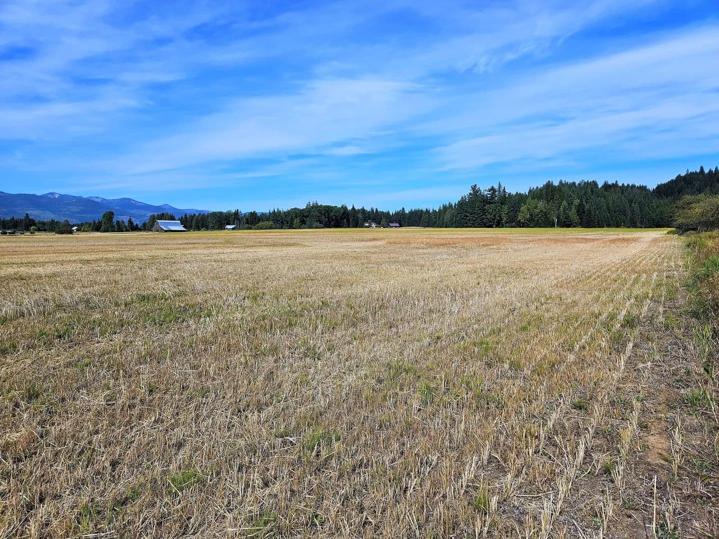 Vacant Land (10+ Acres) in Sandpoint - Sandpoint, Idaho, 83864