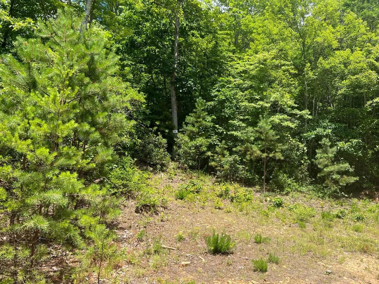 Lots & Land-Other in Waiteville - Waiteville, West Virginia, 24984