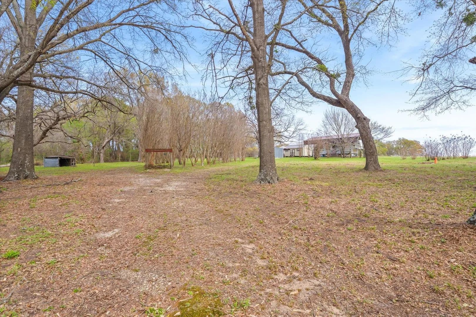 Vacant Land in Edgewood - Edgewood, Texas, 75117