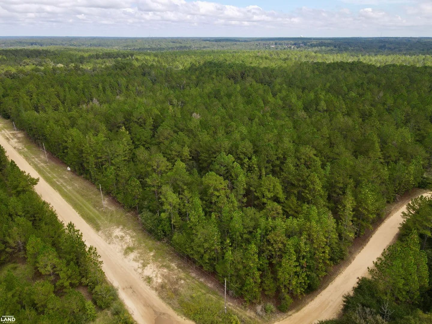Semmes Homesite and Hunting Tract - land for sale
