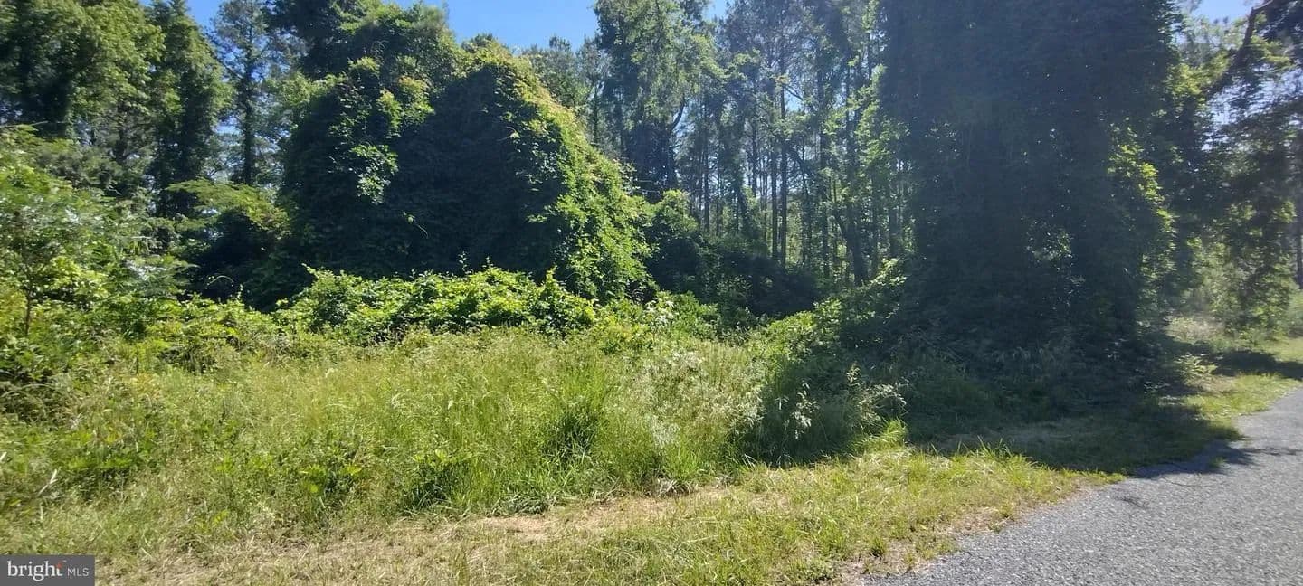 Land -Agricultural (Not Zoned) in Marion Station - Maryland, 21838