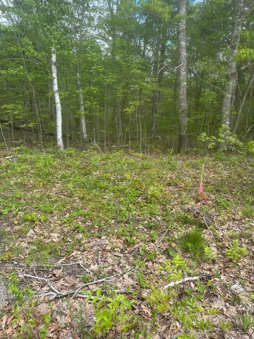 5.81 Acres of Land for Sale in Steuben, Maine - Steuben, Maine, 04680