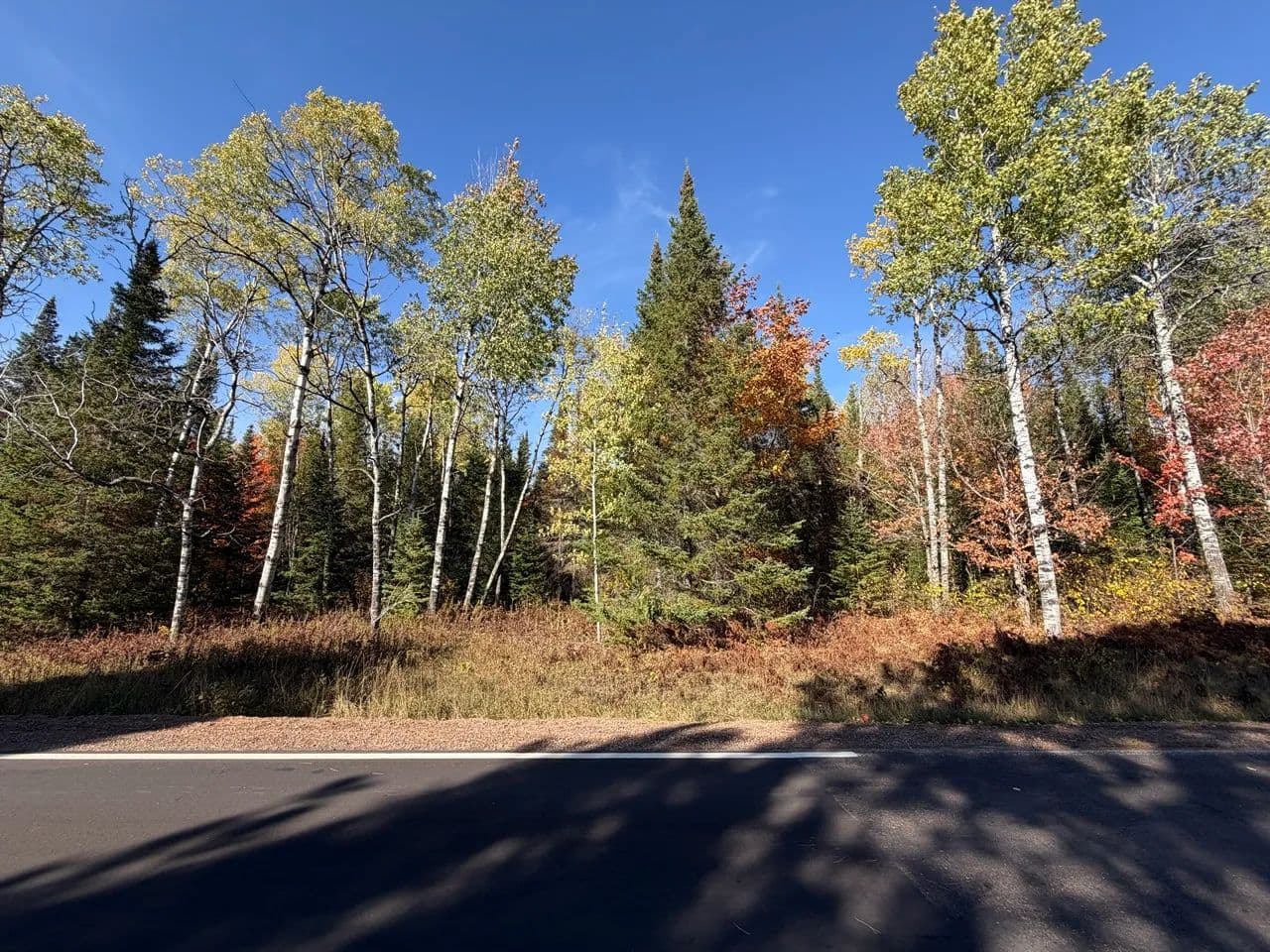 Vacant Land in Mercer - land for sale
