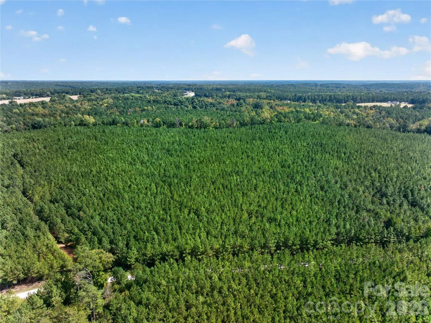 8 Acres of Land for Sale in Chester, SC - land for sale