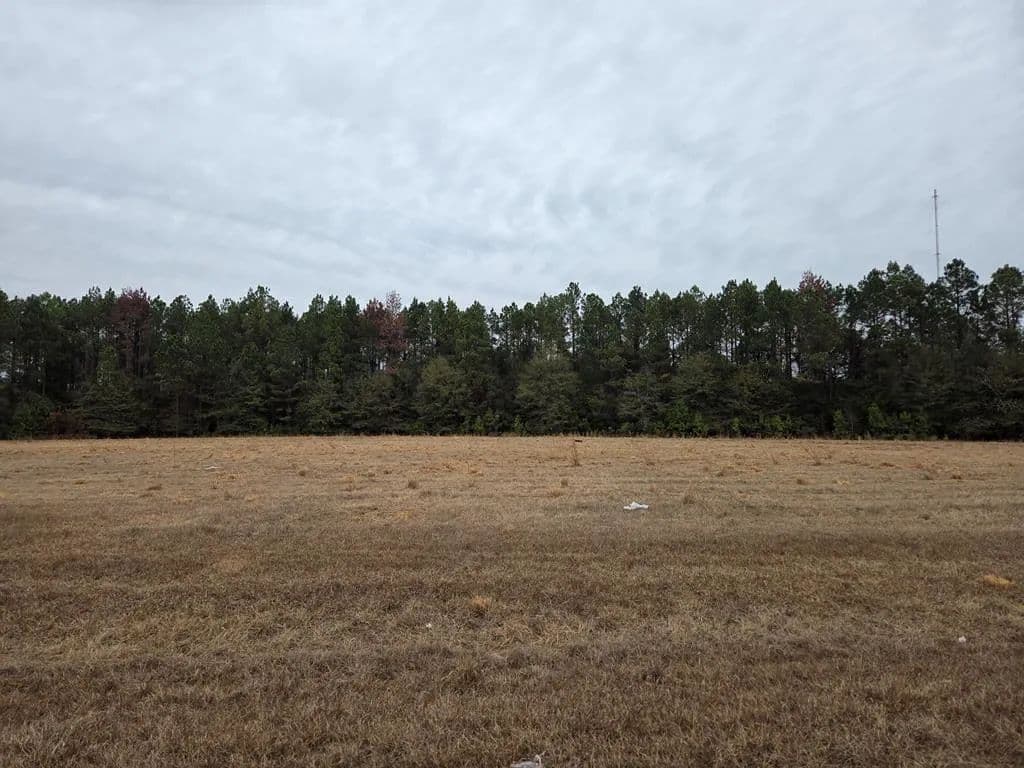 Lots & Land-Other in Cordele - Cordele, Georgia, 31015
