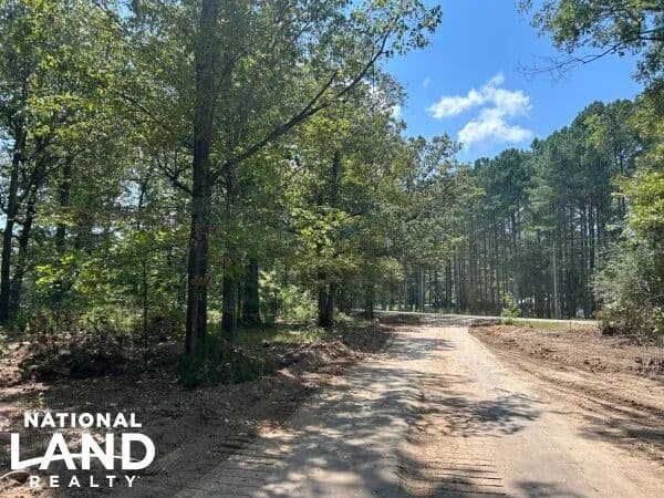Beautiful South Pontotoc Tracts - Pontotoc, Mississippi, 38865