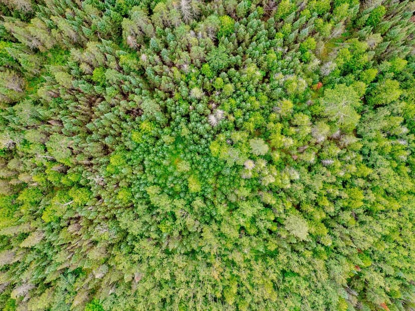 Property from V/L US-02 Highway #Lot 1 - KW