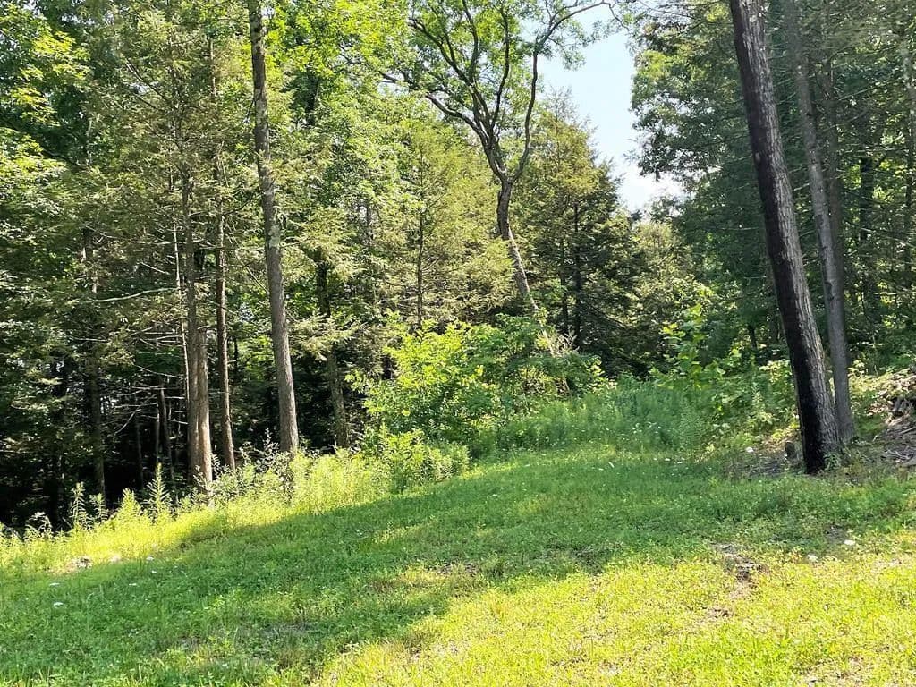 Lots & Land-Other in Towanda - Towanda, Pennsylvania, 18848
