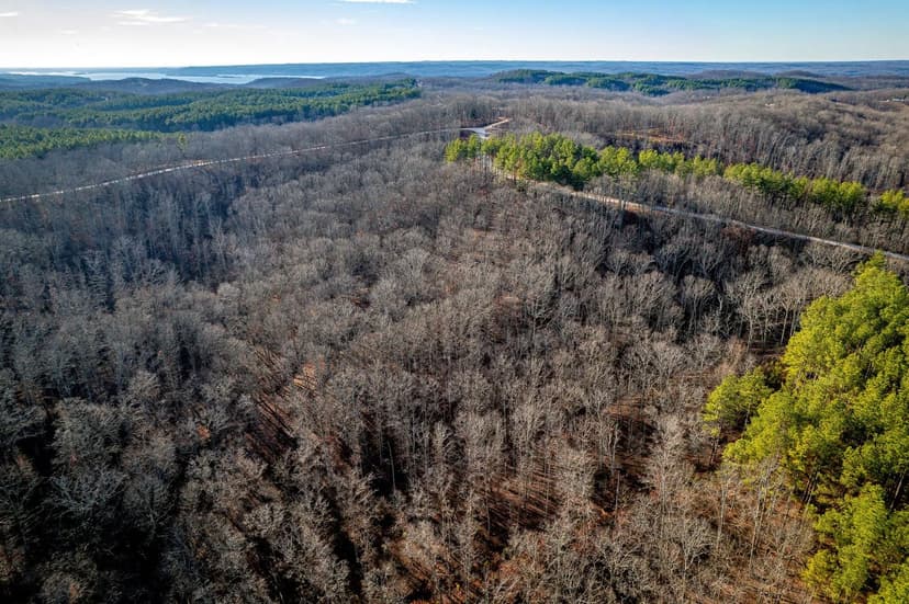 11 Acre Tennessee Land For Sale | Owner Financing | Near Kentucky Lake
