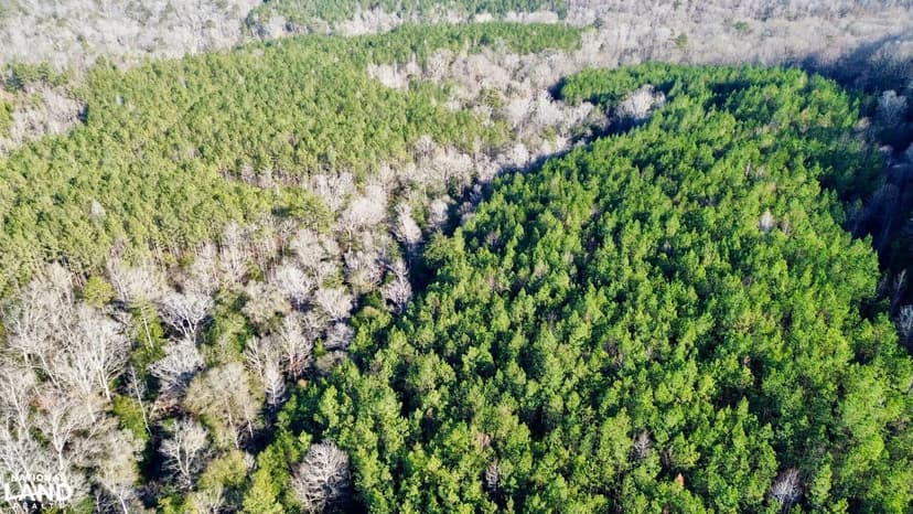Copper Salt Creek Hunting & Timber Investment