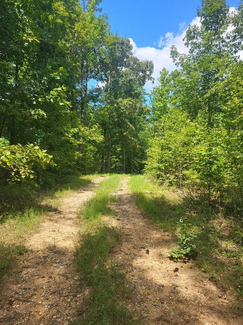 Mountain Tract in Nat'l Forest - Talladega, Alabama, 35160