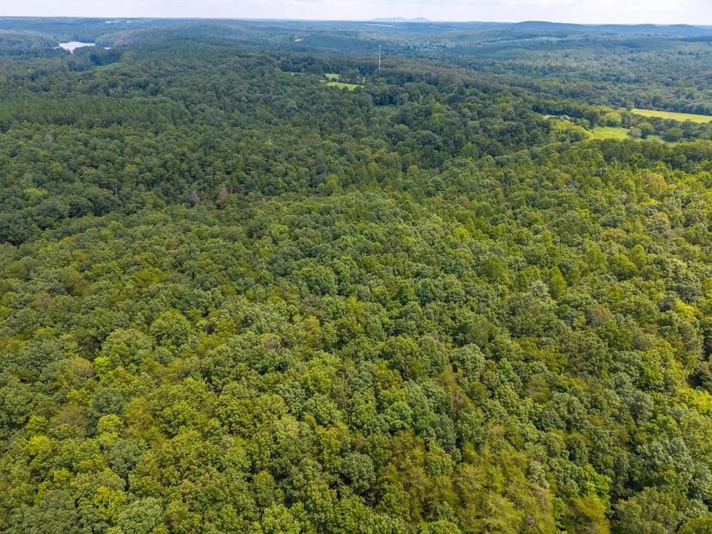 Land -Single Family Acreage in Appomattox - Appomattox, Virginia, 24522