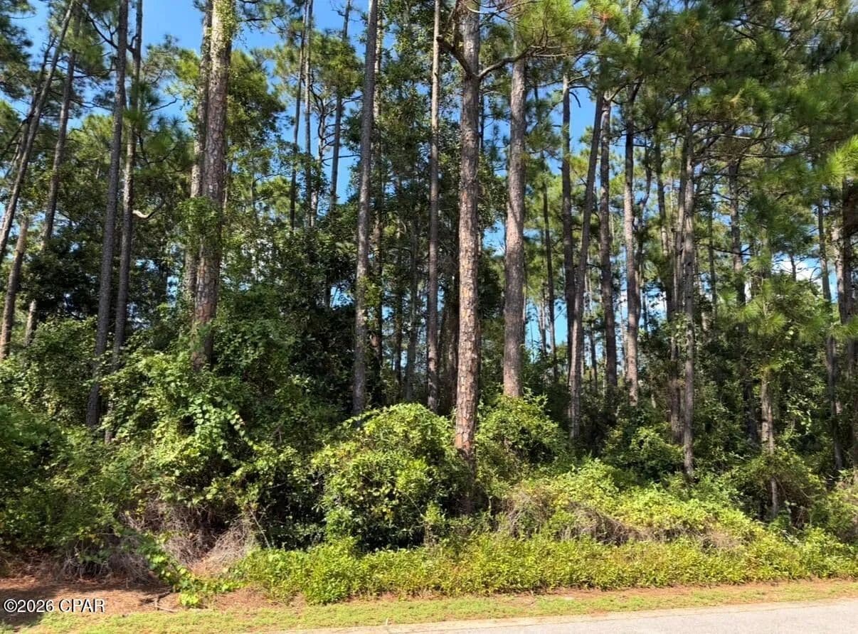 0.5 Acres of Land for Sale in Santa Rosa Beach, FL - Santa Rosa Beach, Florida, 32459