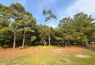 Vacant Land in Supply - Supply, North Carolina, 28462