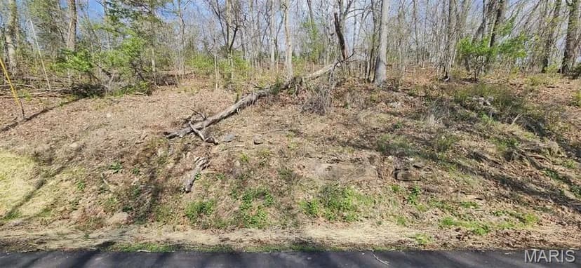 Vacant Land in Marthasville