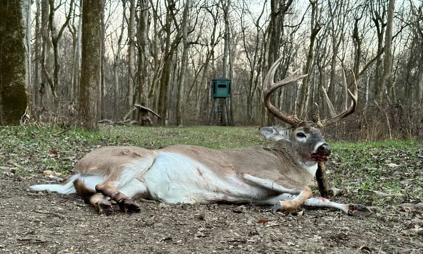 One Equity Share with a Cabin at Bland’s Bayou Hunting Club in Coahoma County, MS 