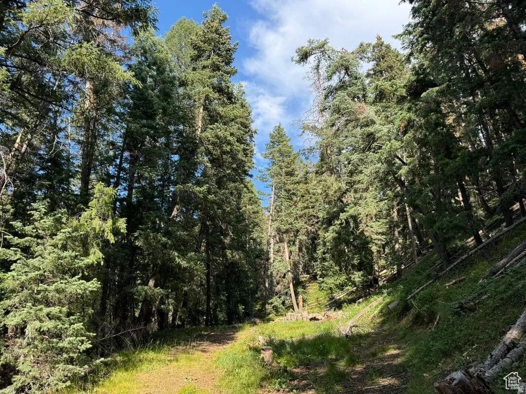 1.74 Acres of Land for Sale in Mt Pleasant, UT - Mt Pleasant, Utah, 84647