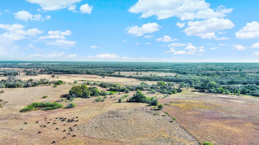 75± Acres | La Grange, TX | Fayette County