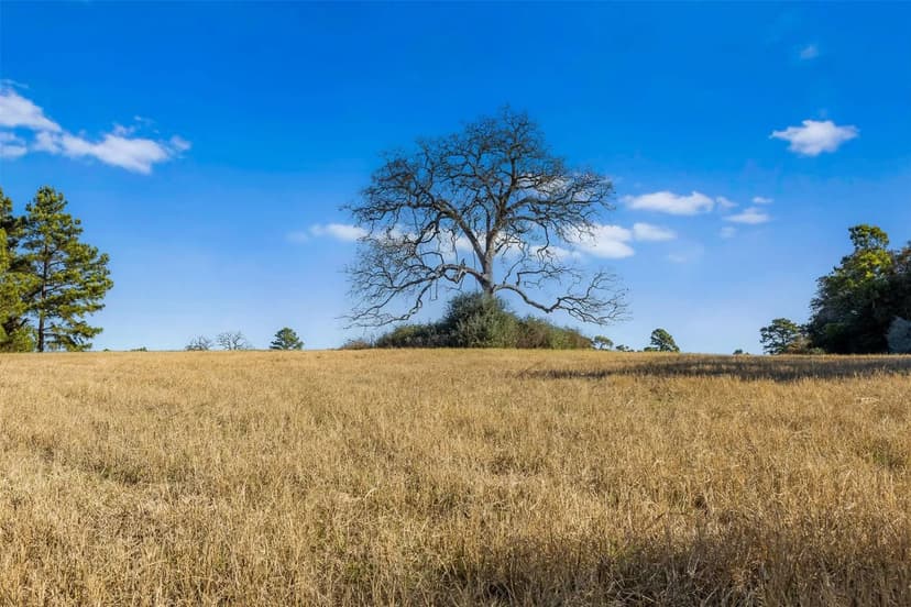 Property from TBD PR 1315 - KW