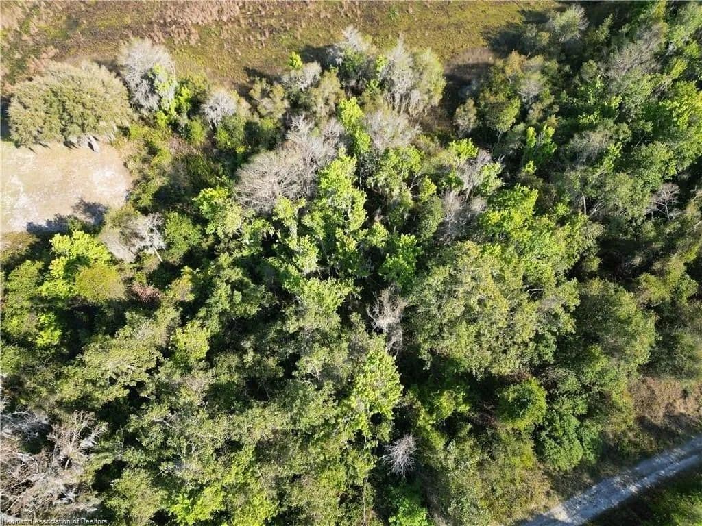 Lots & Land-Other in Lake Placid - Lake Placid, Florida, 33852