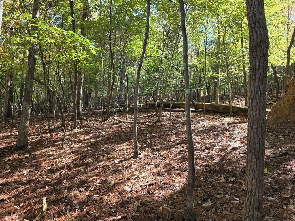 Lots & Land-Other in Ellijay - Ellijay, Georgia, 30540