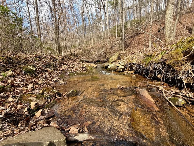 EVERETT SPRINGS ROAD - ARMUCHEE GA
