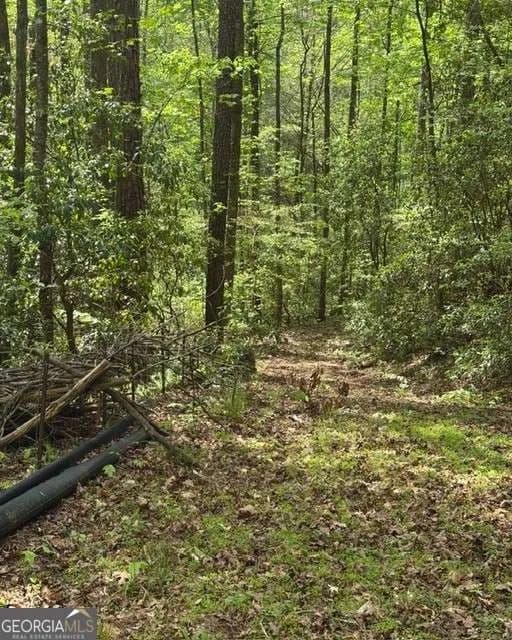 Vacant Land in Ellijay - Ellijay, Georgia, 30540