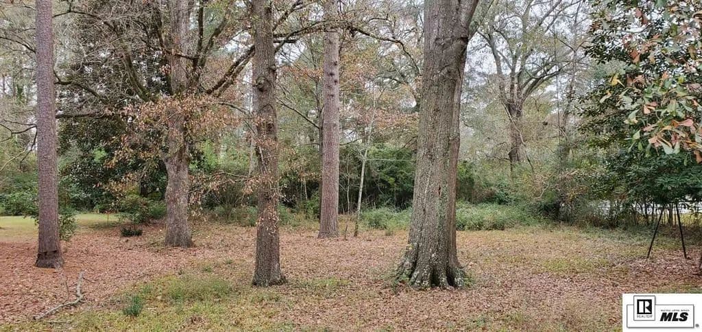 Vacant Land in Ruston - Ruston, Louisiana, 71270