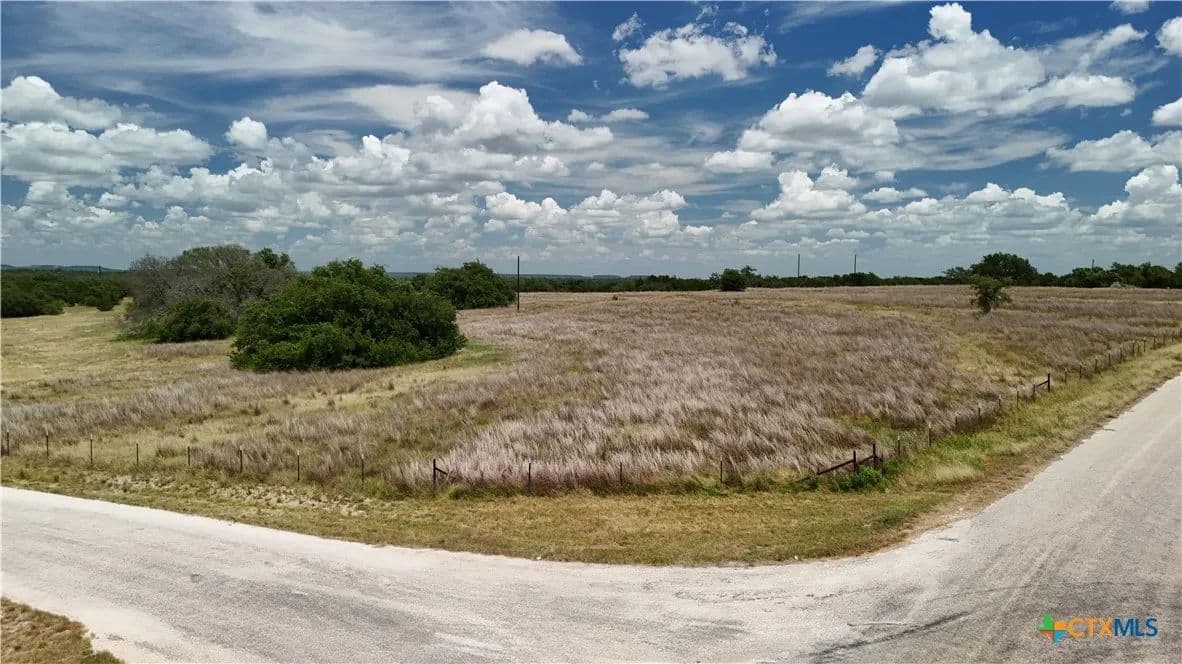 Vacant Land in Briggs - Briggs, Texas, 78608